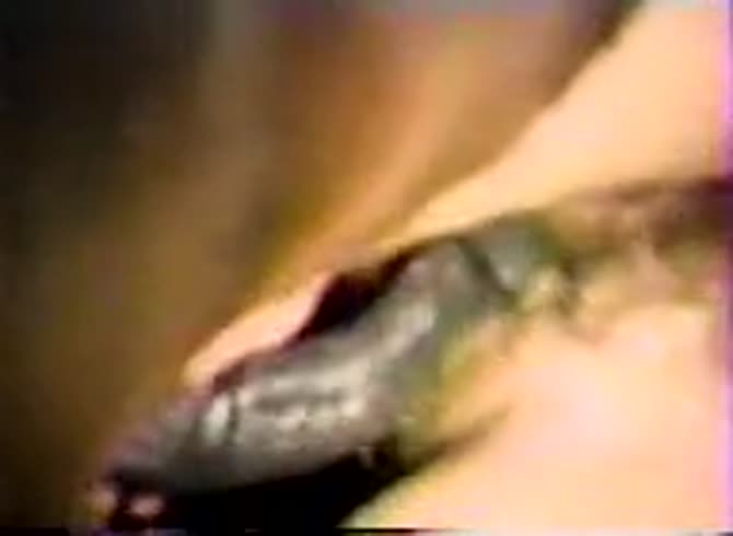 Video :Big horse dick destroying a girl's hairy pussy